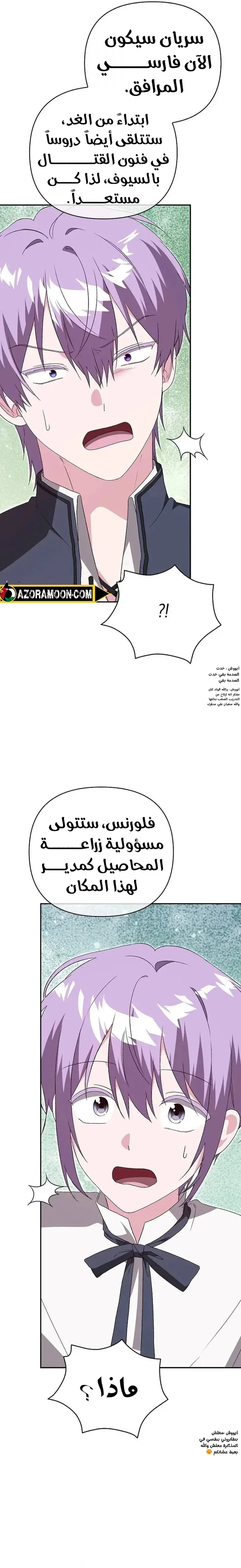 الصفحة 17
