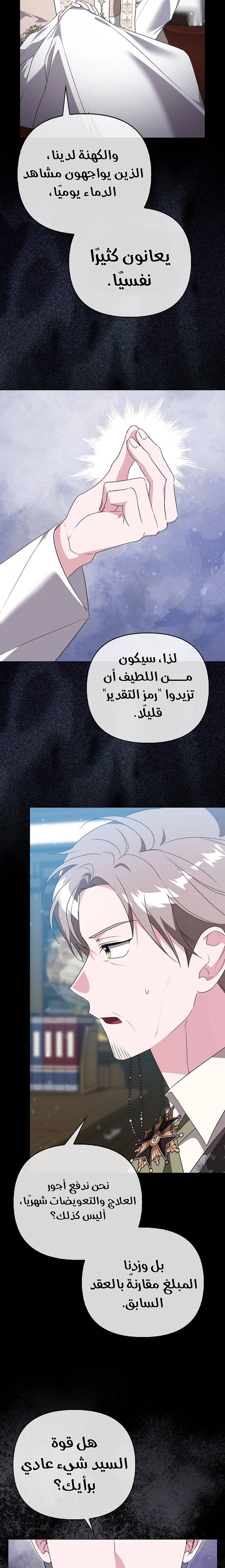 الصفحة 13