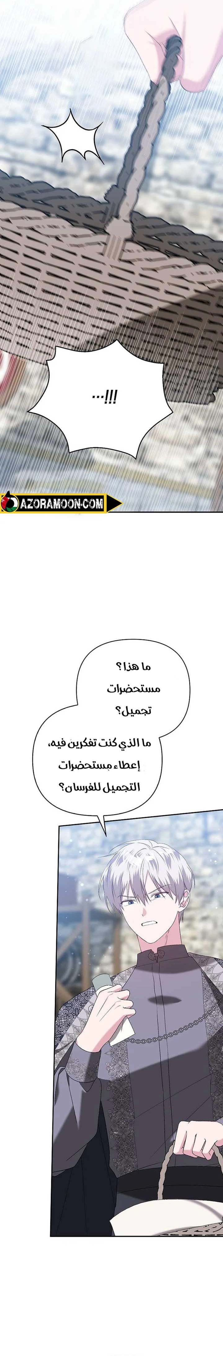 الصفحة 13