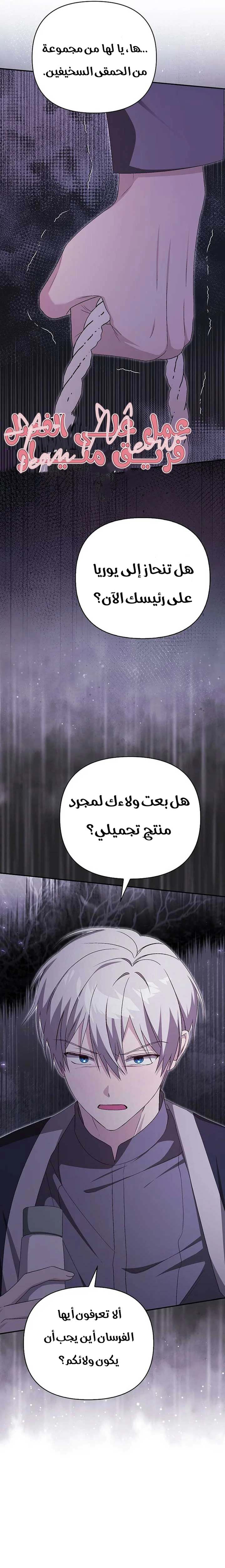 الصفحة 17