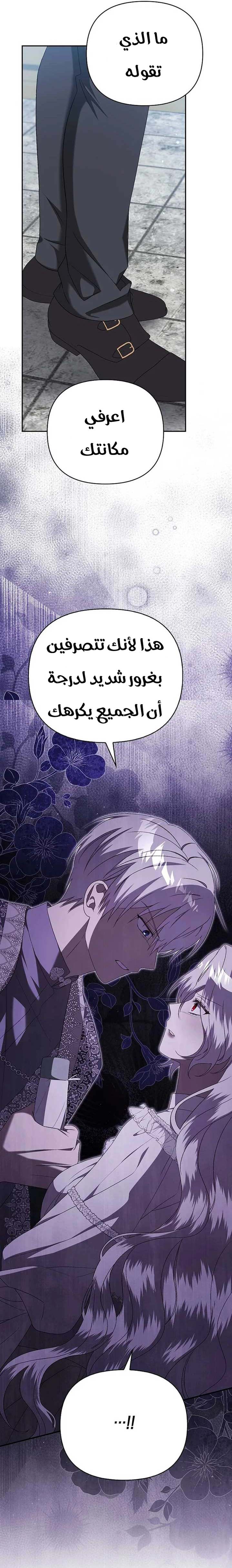 الصفحة 19