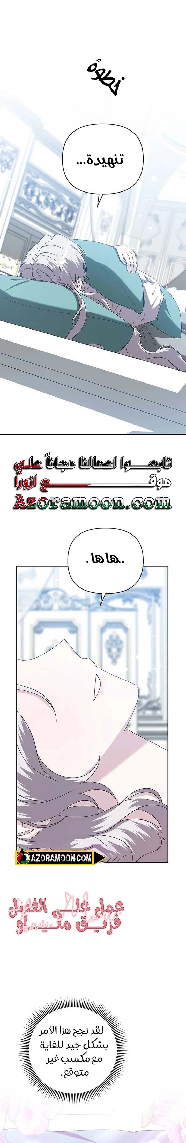 الصفحة 25