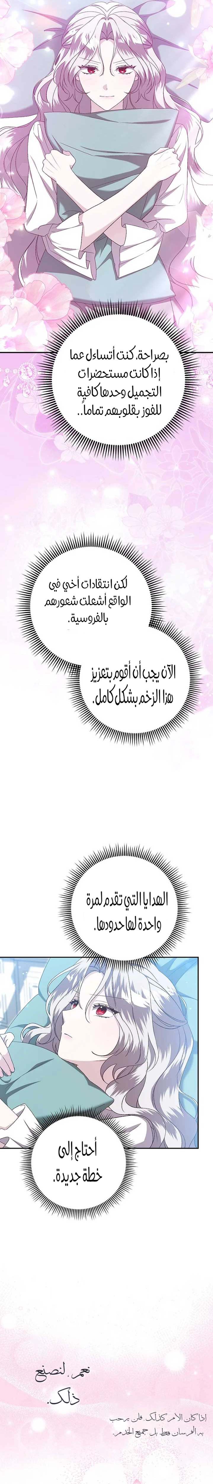 الصفحة 26