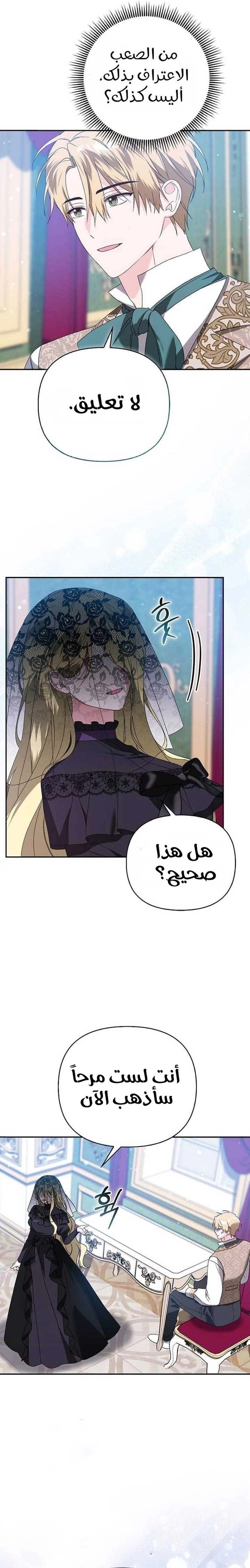 الصفحة 19