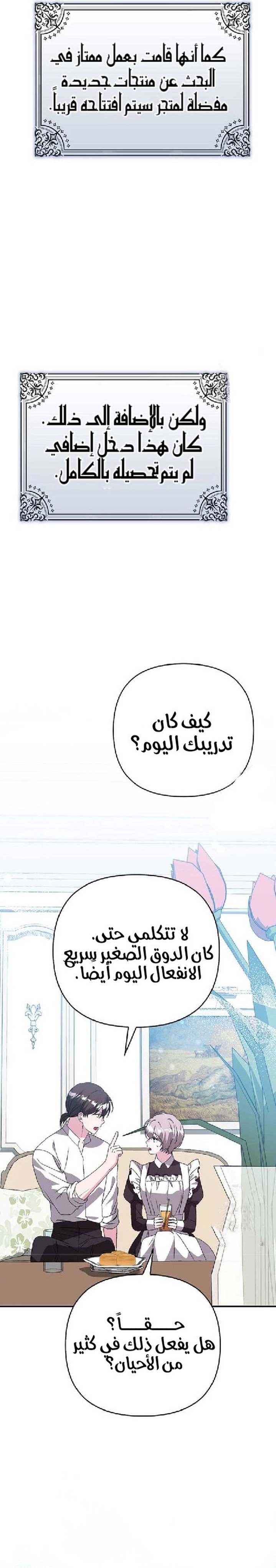 الصفحة 13