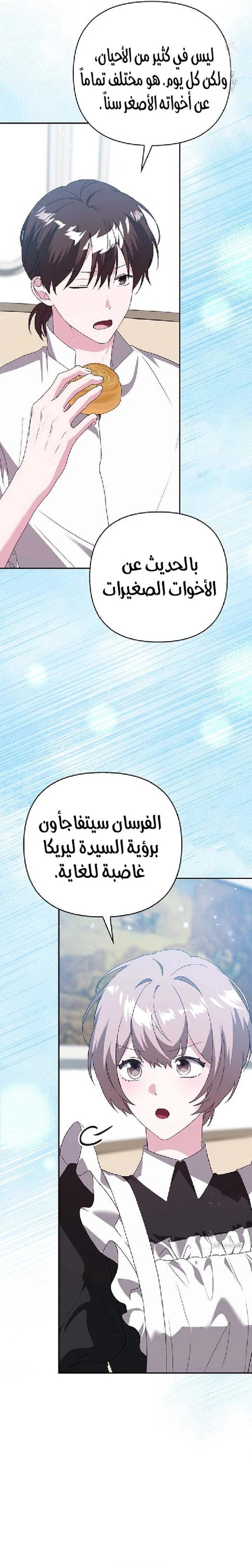 الصفحة 14
