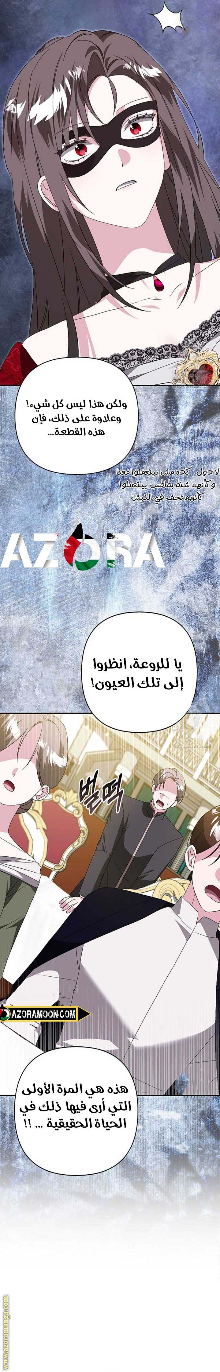 الصفحة 17