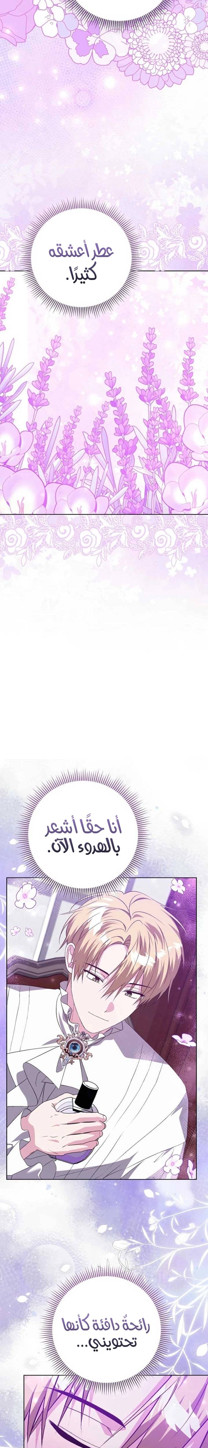 الصفحة 19