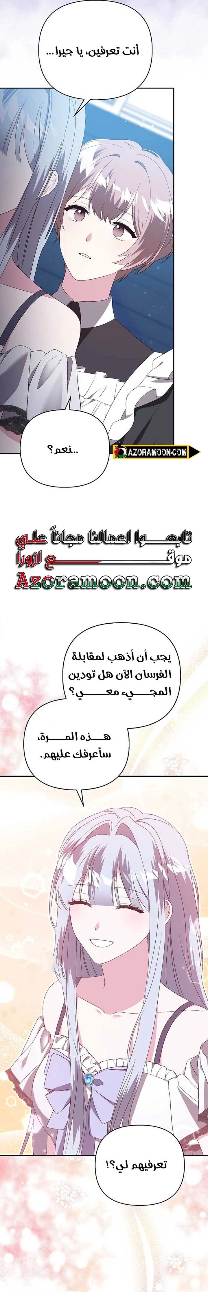 الصفحة 17