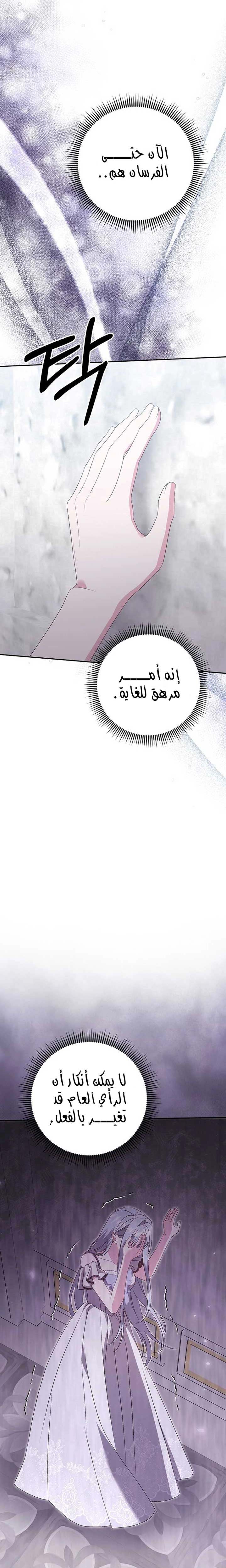 الصفحة 23