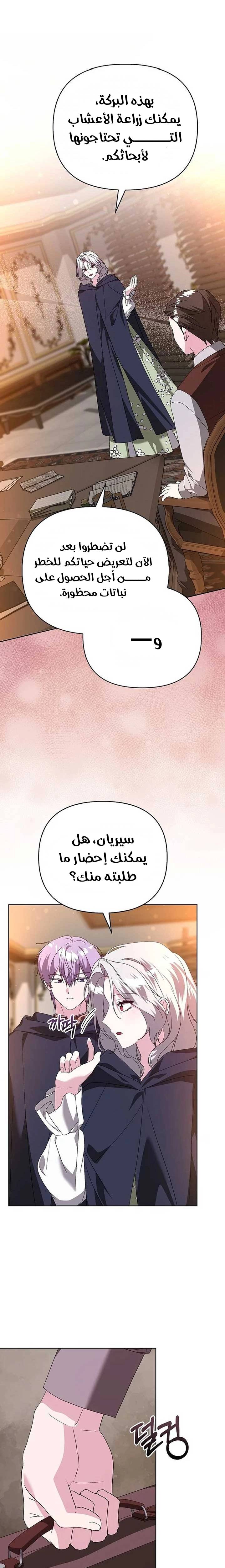 الصفحة 21