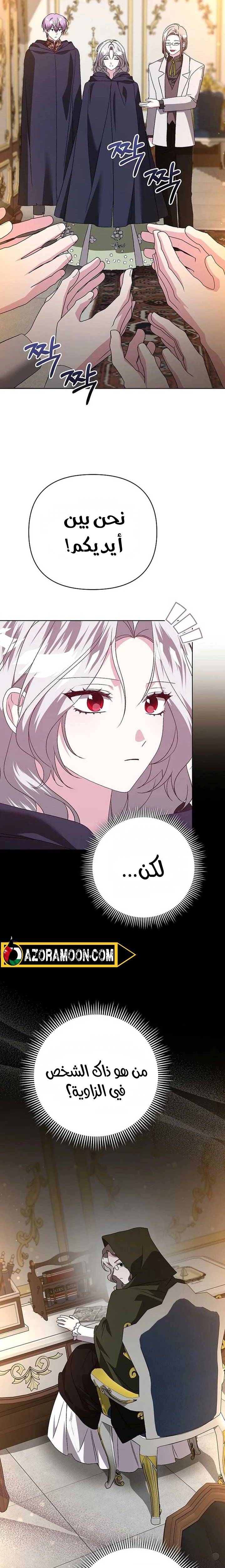 الصفحة 25