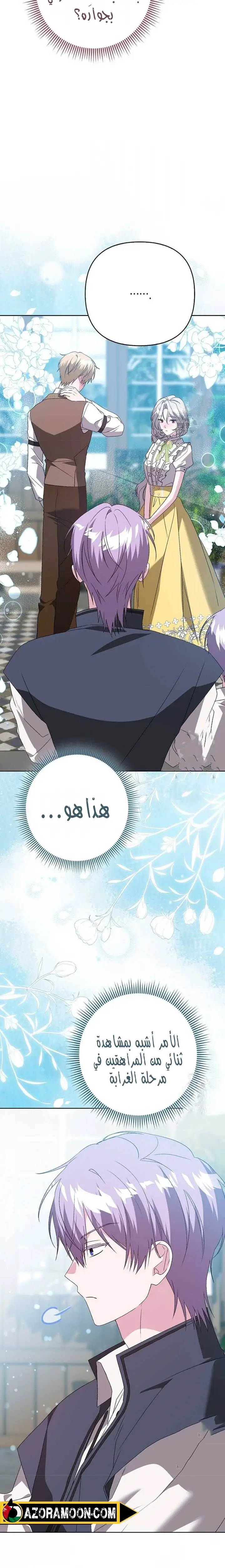 الصفحة 13