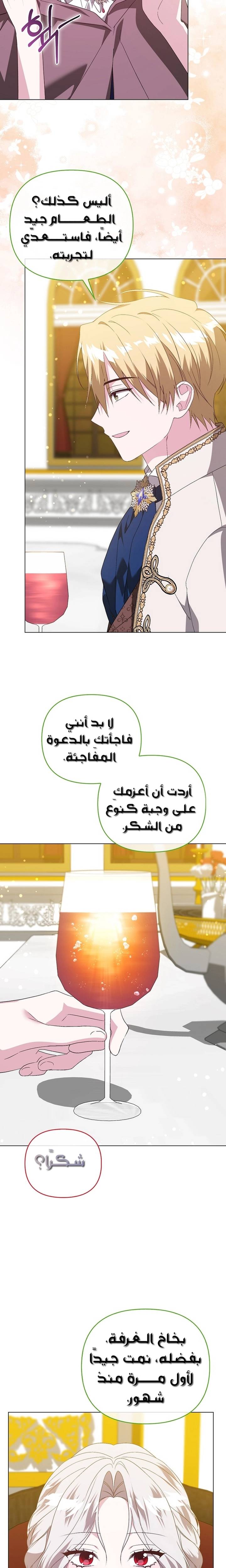 الصفحة 13