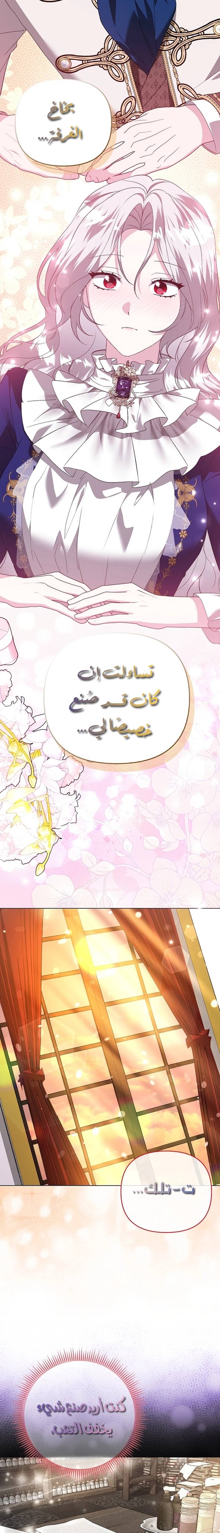 الصفحة 16
