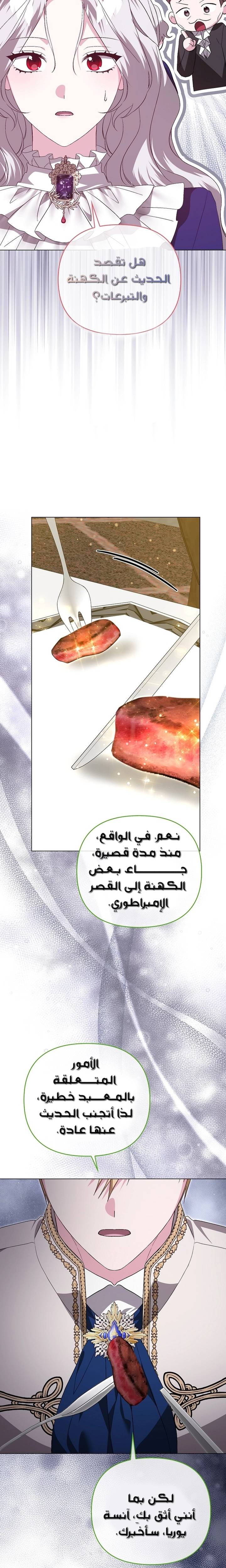 الصفحة 21