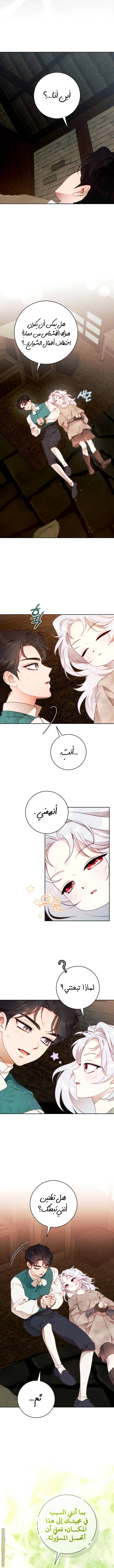 الصفحة 8