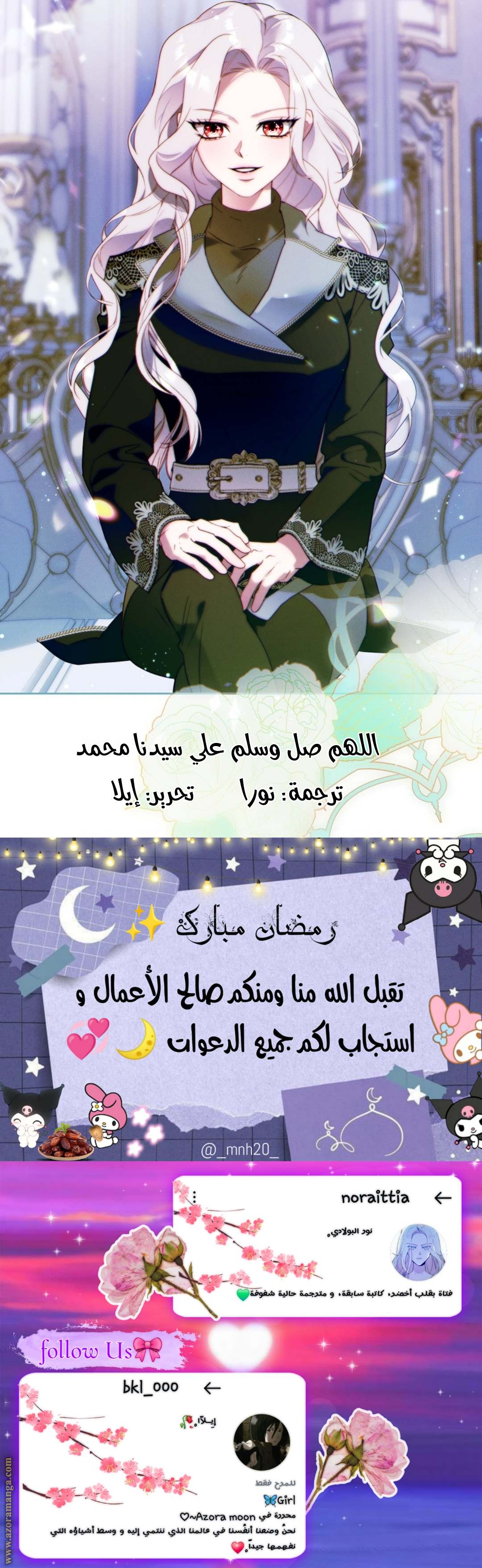 الصفحة 13