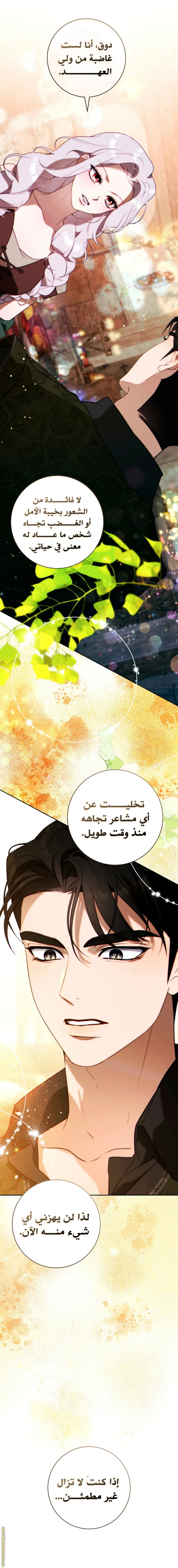 الصفحة 15