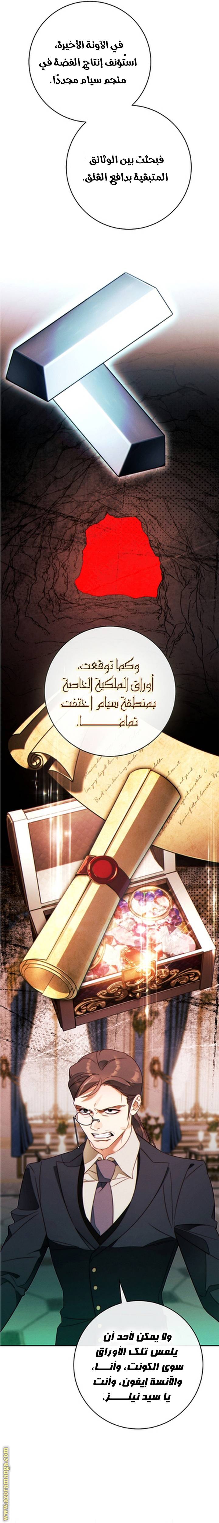 الصفحة 17