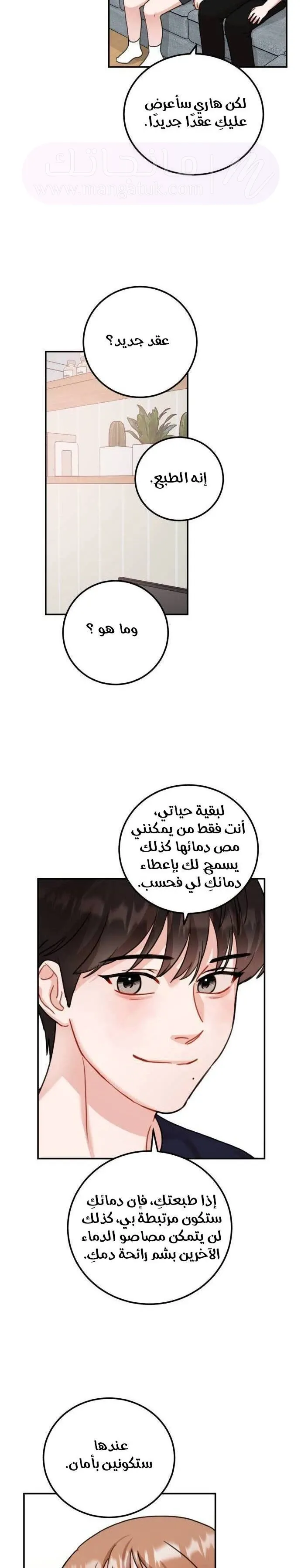 الصفحة 12