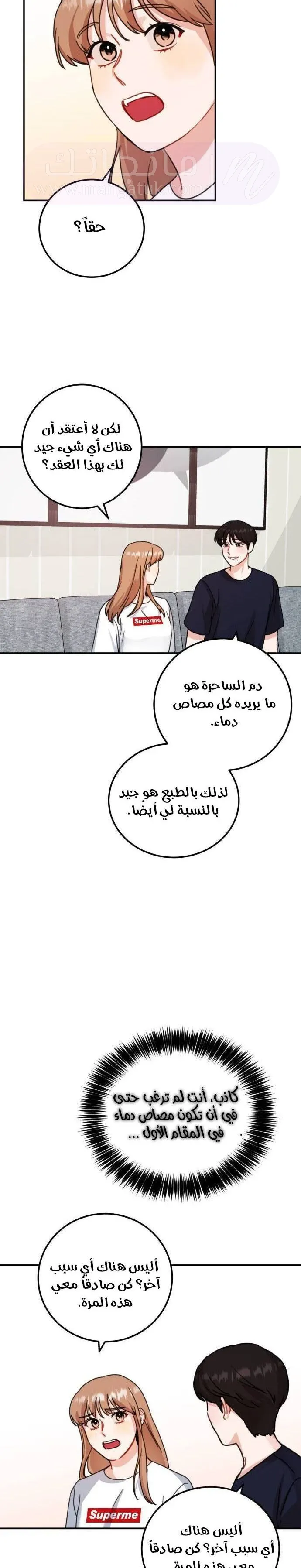 الصفحة 13