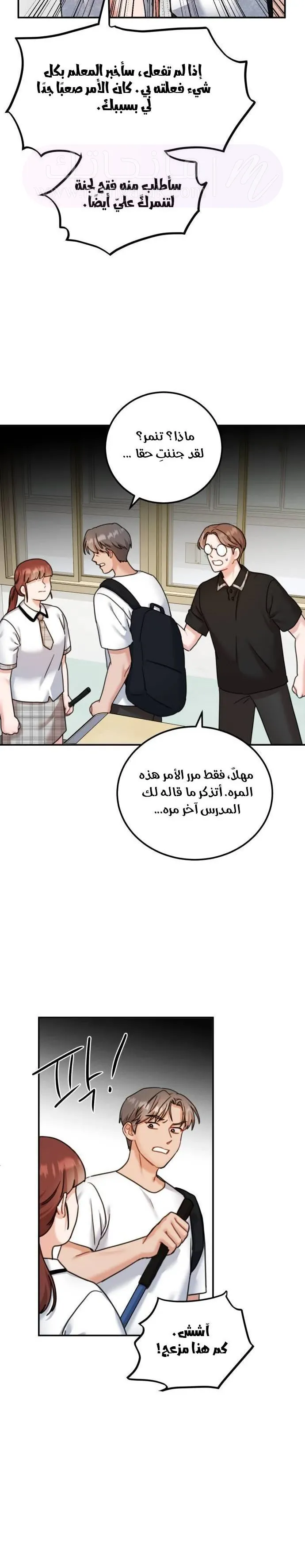 الصفحة 26