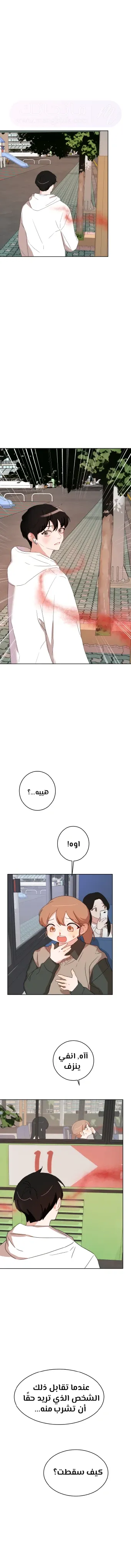 الصفحة 15
