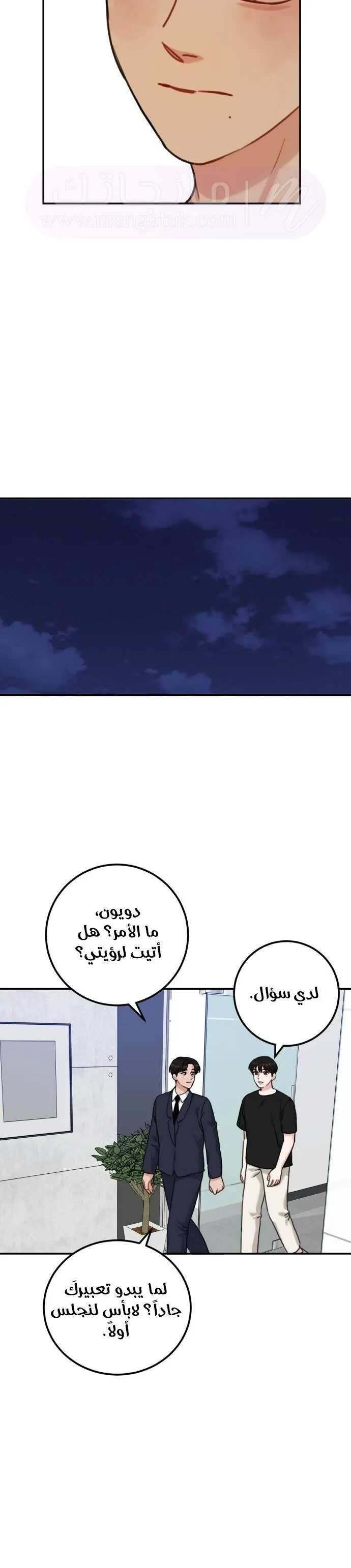 الصفحة 29