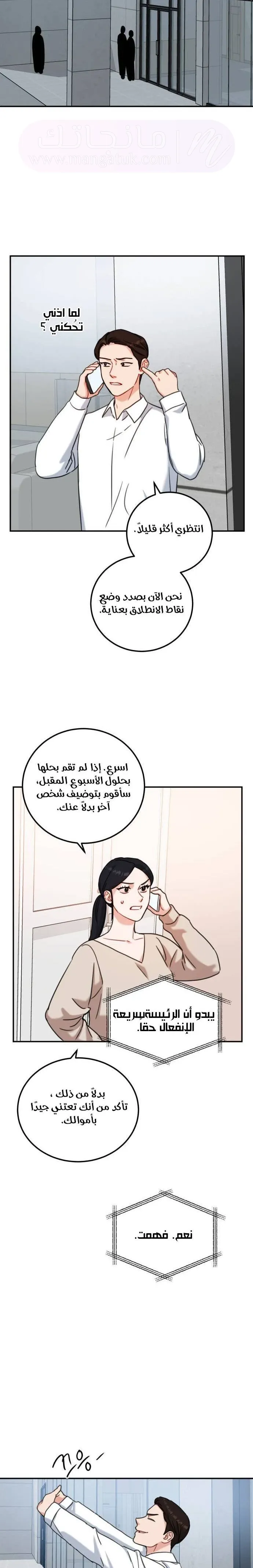 الصفحة 17