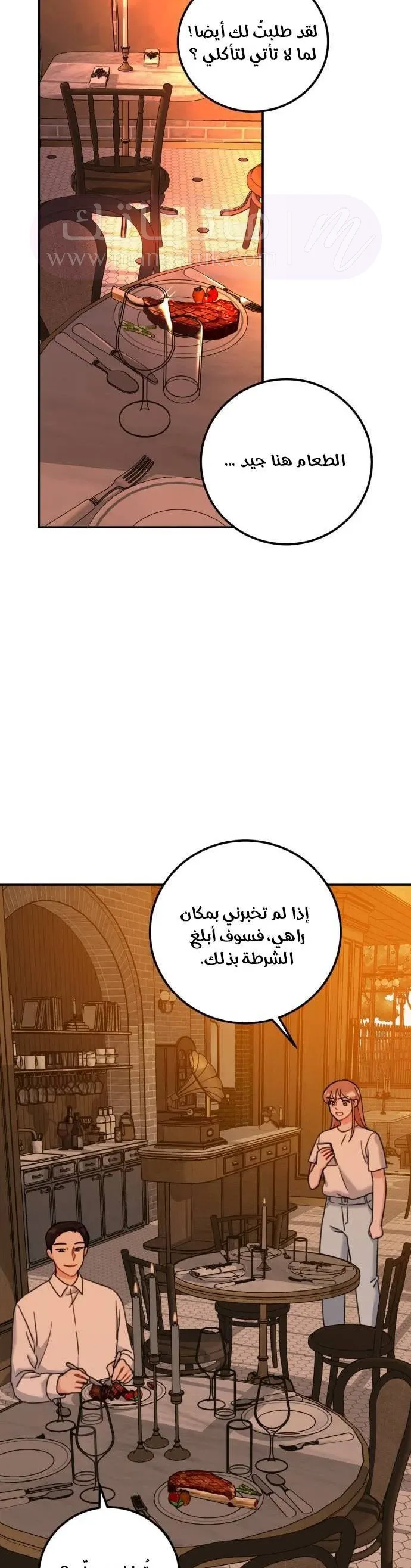 الصفحة 25