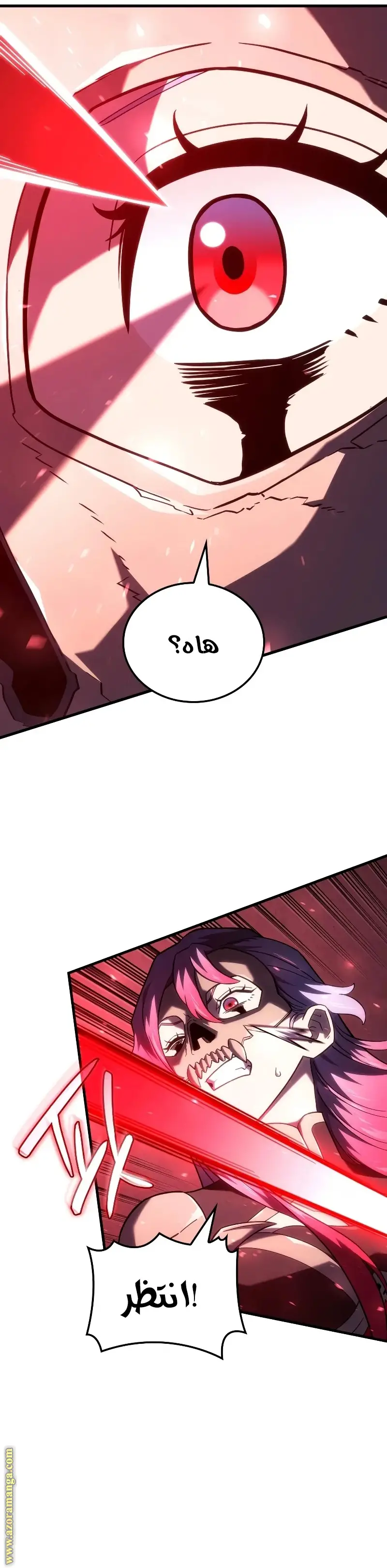 الصفحة 13