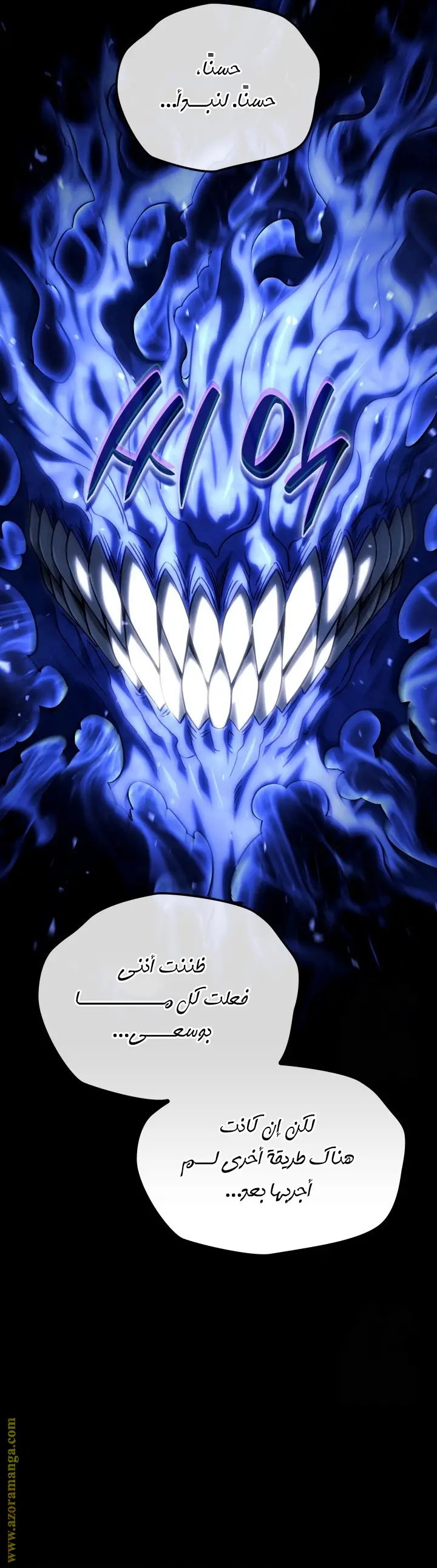 الصفحة 13