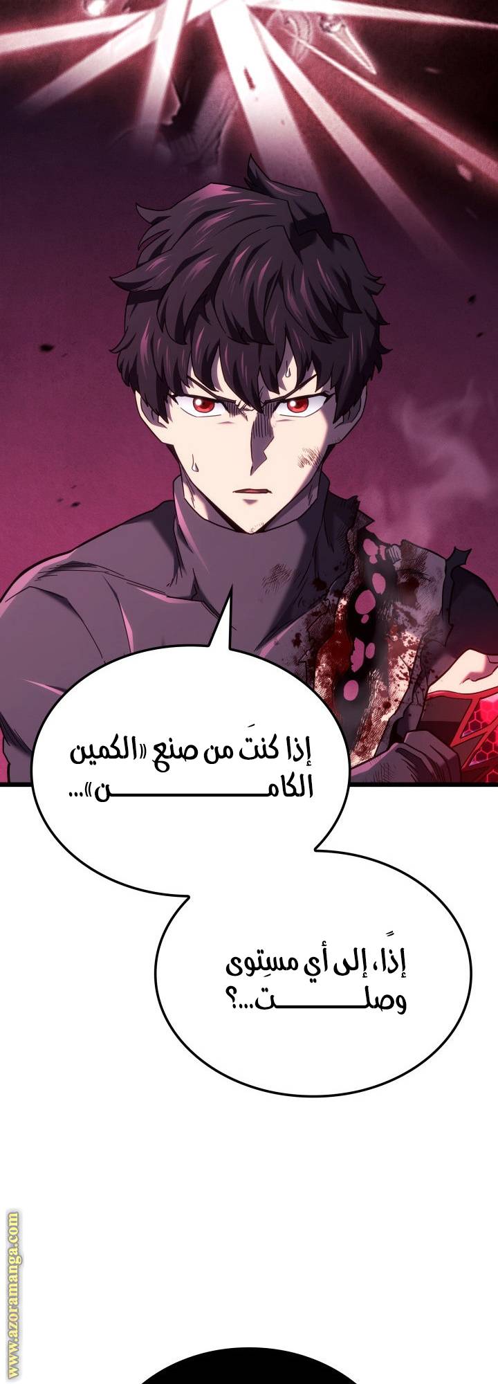 الصفحة 17