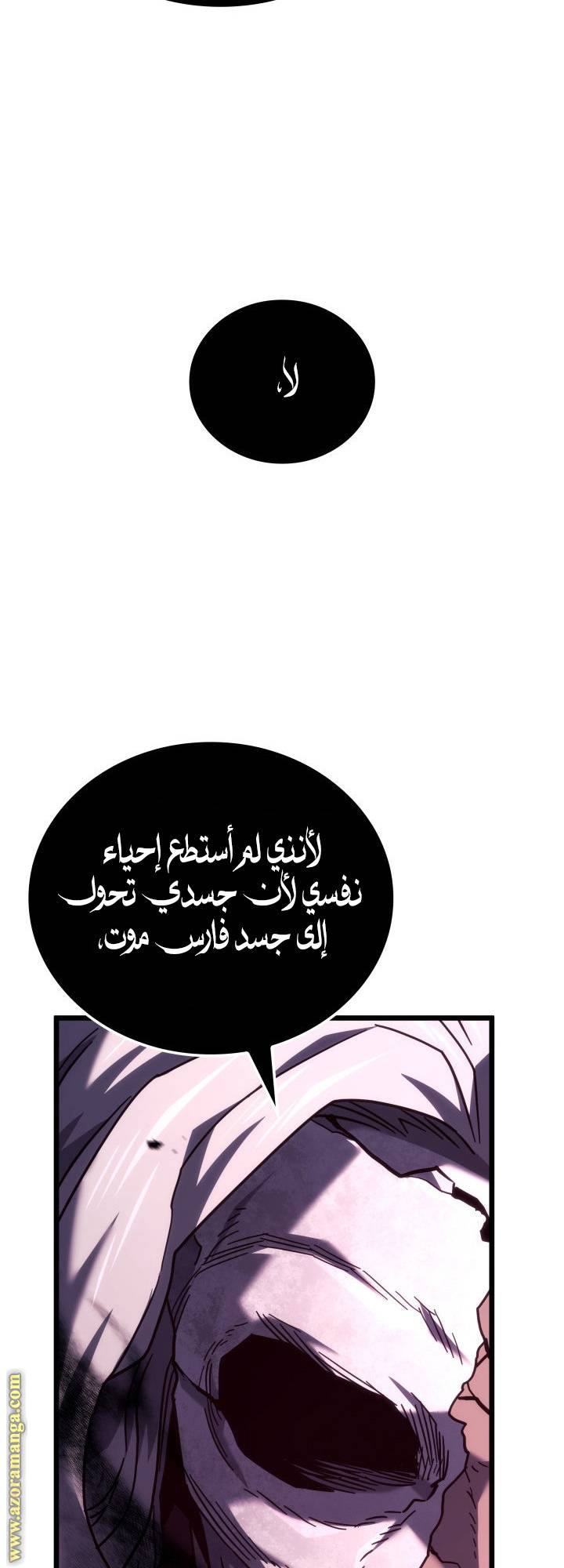 الصفحة 29