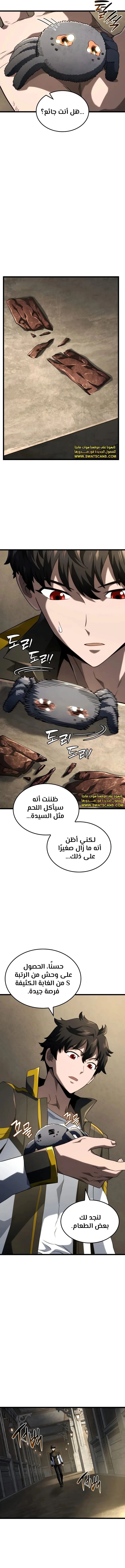 الصفحة 13