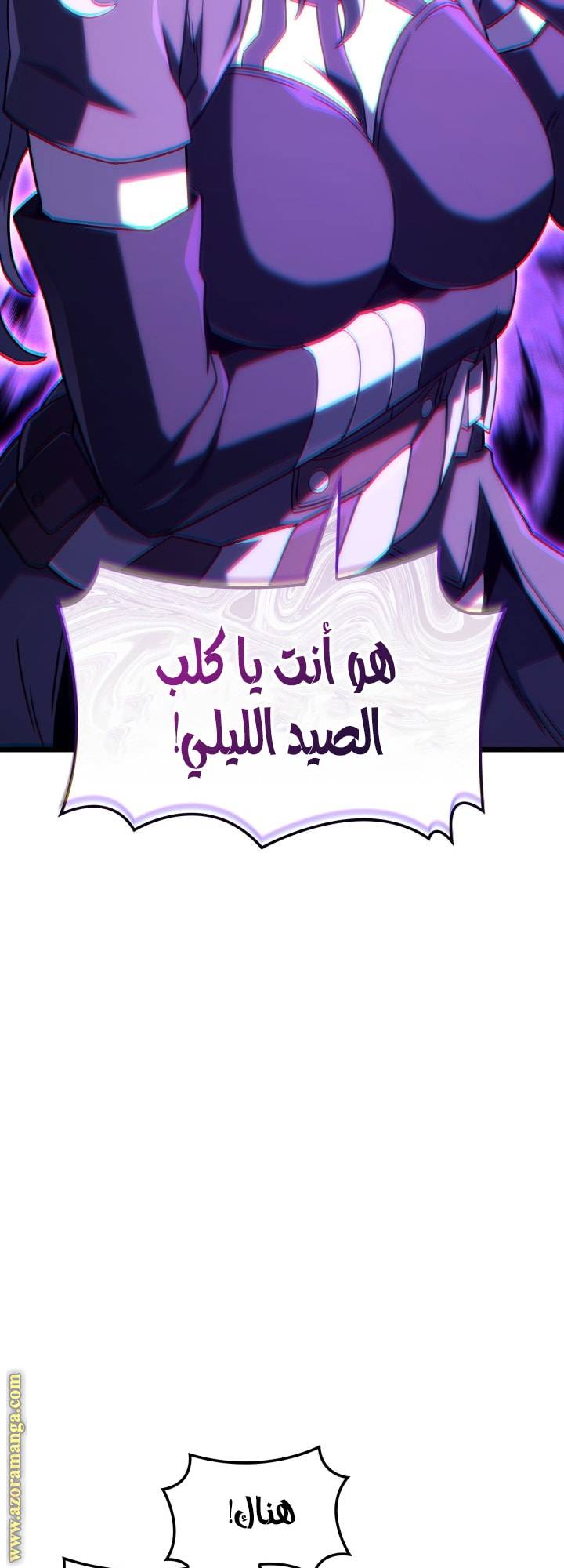 الصفحة 46