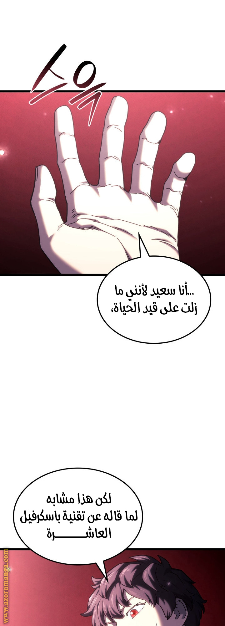 الصفحة 13
