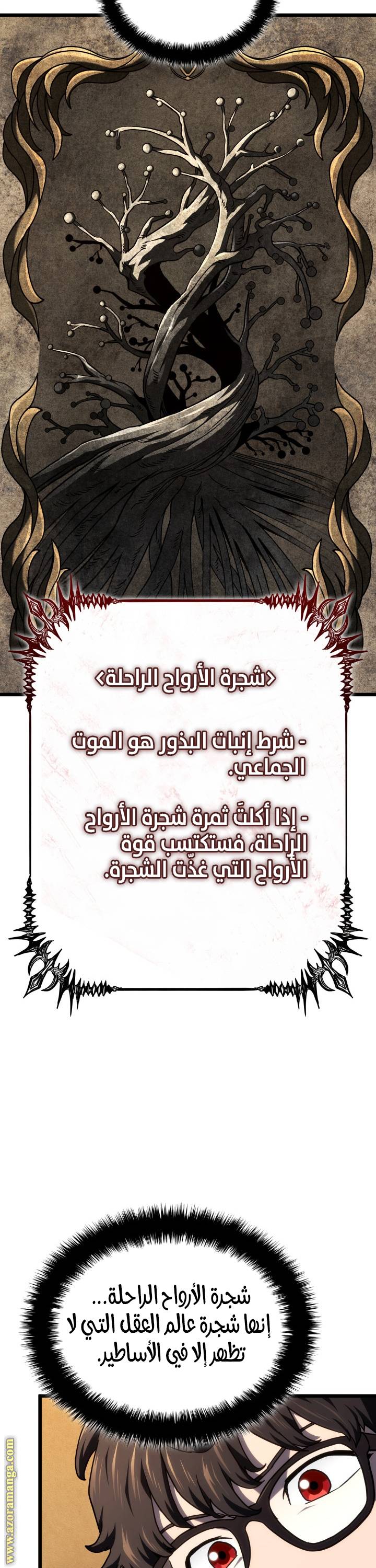 الصفحة 17