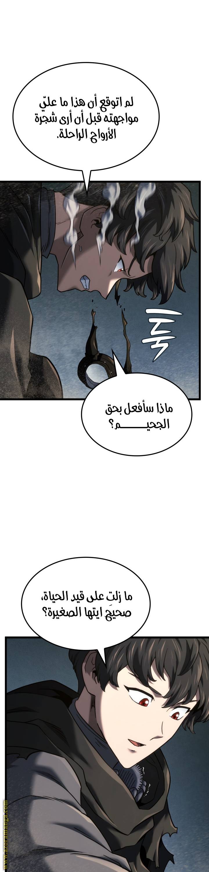 الصفحة 43