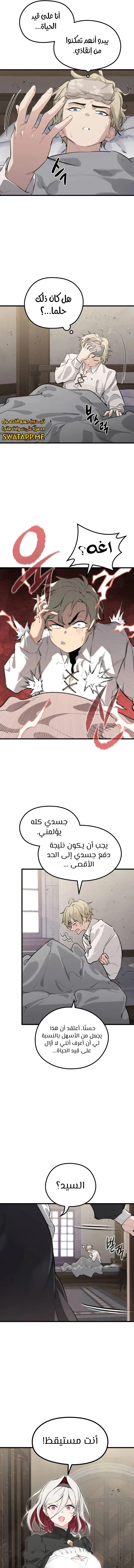الصفحة 19