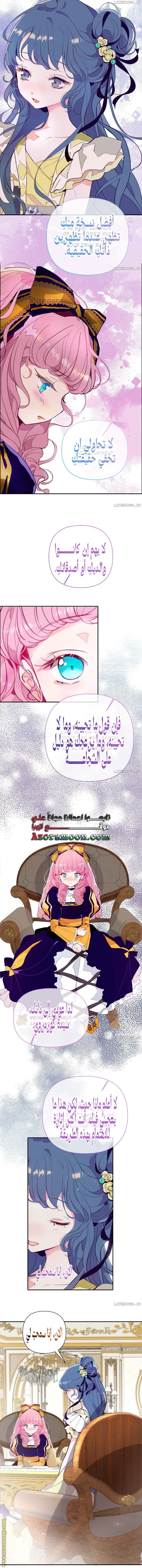 الصفحة 11