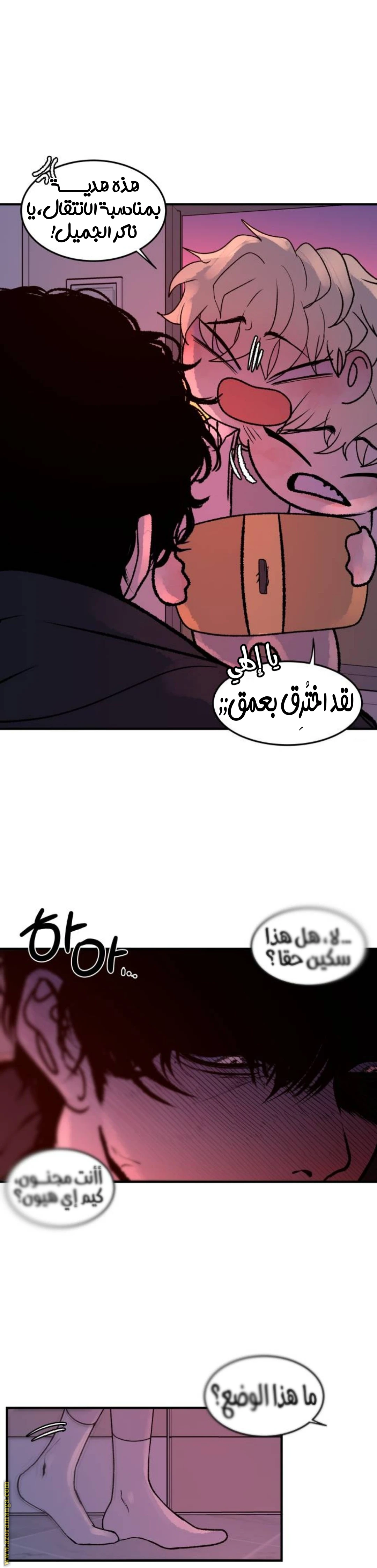 الصفحة 21
