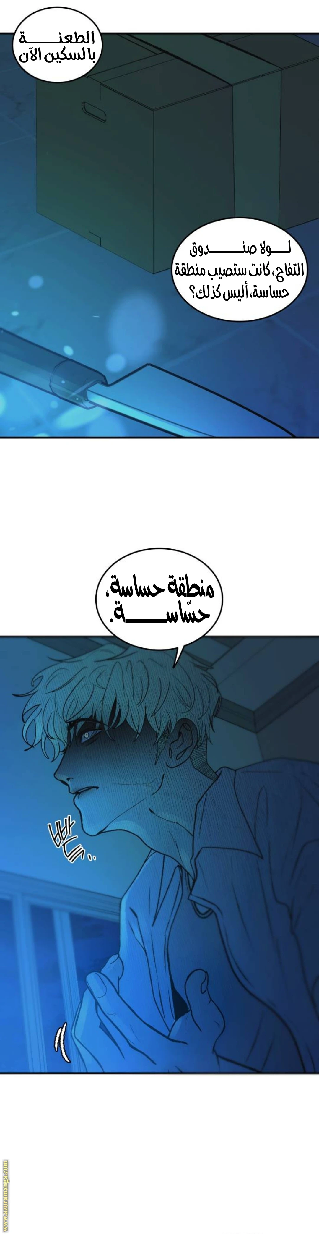 الصفحة 25