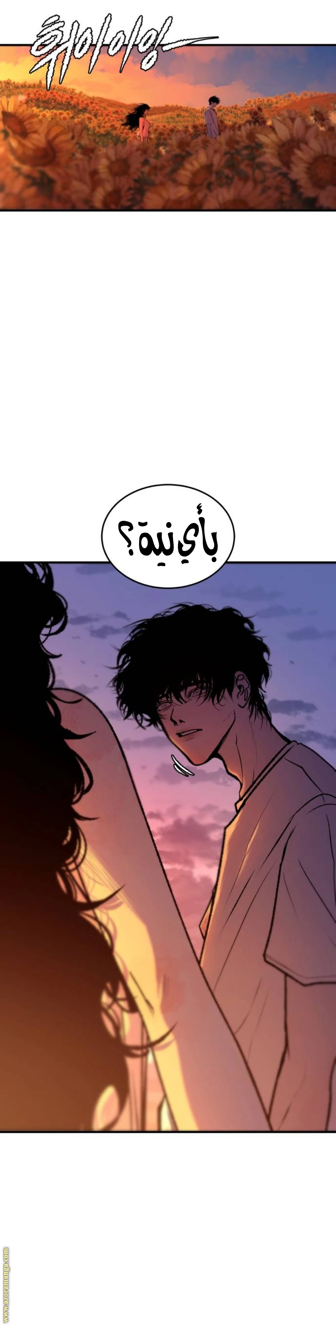 الصفحة 13