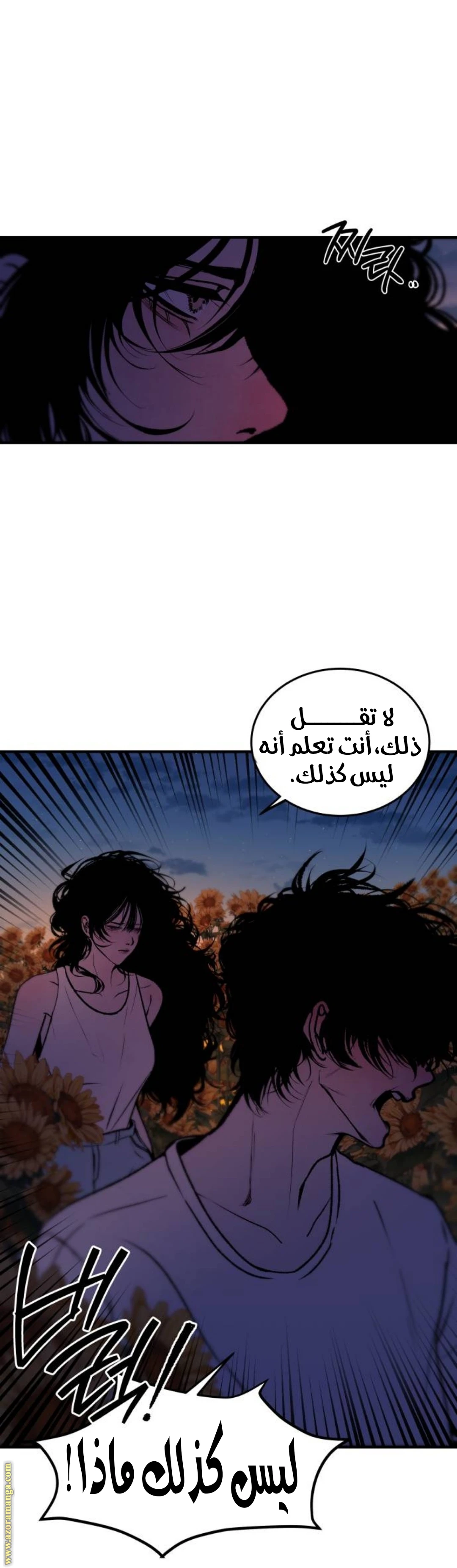 الصفحة 20