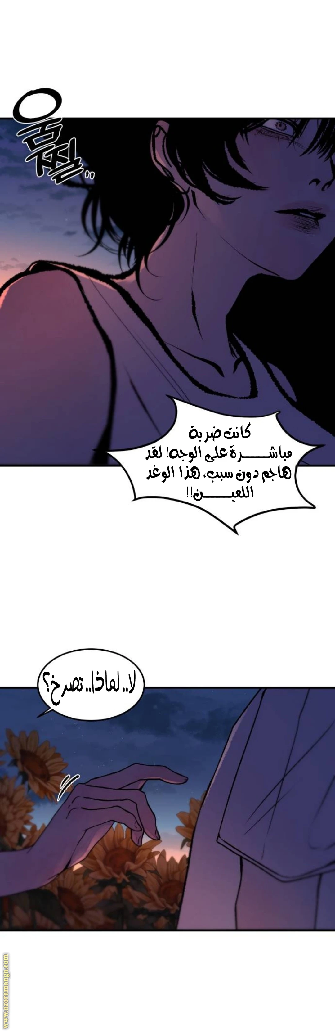 الصفحة 21