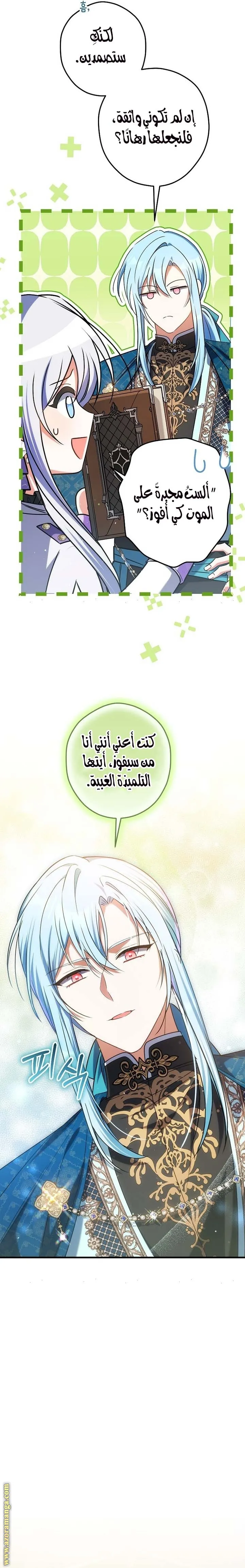 الصفحة 11