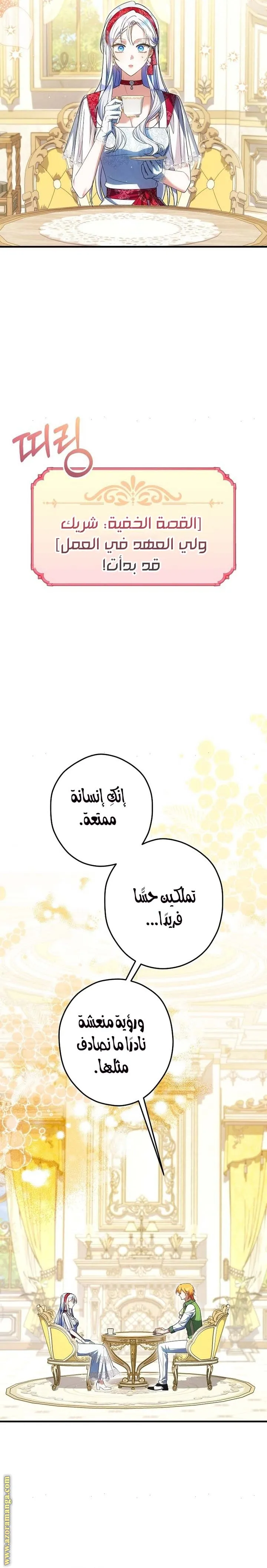الصفحة 19