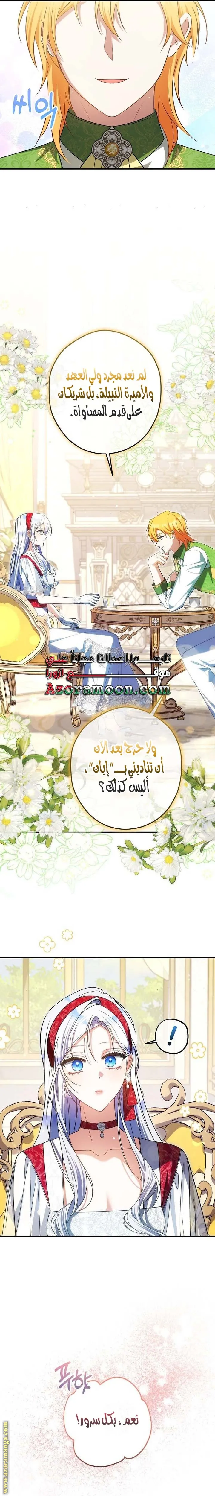 الصفحة 25